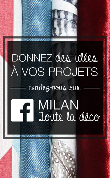 Facebook-Milan-Entreprise